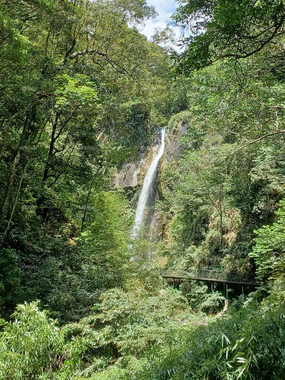 Hidden waterfall cling to the cliff.