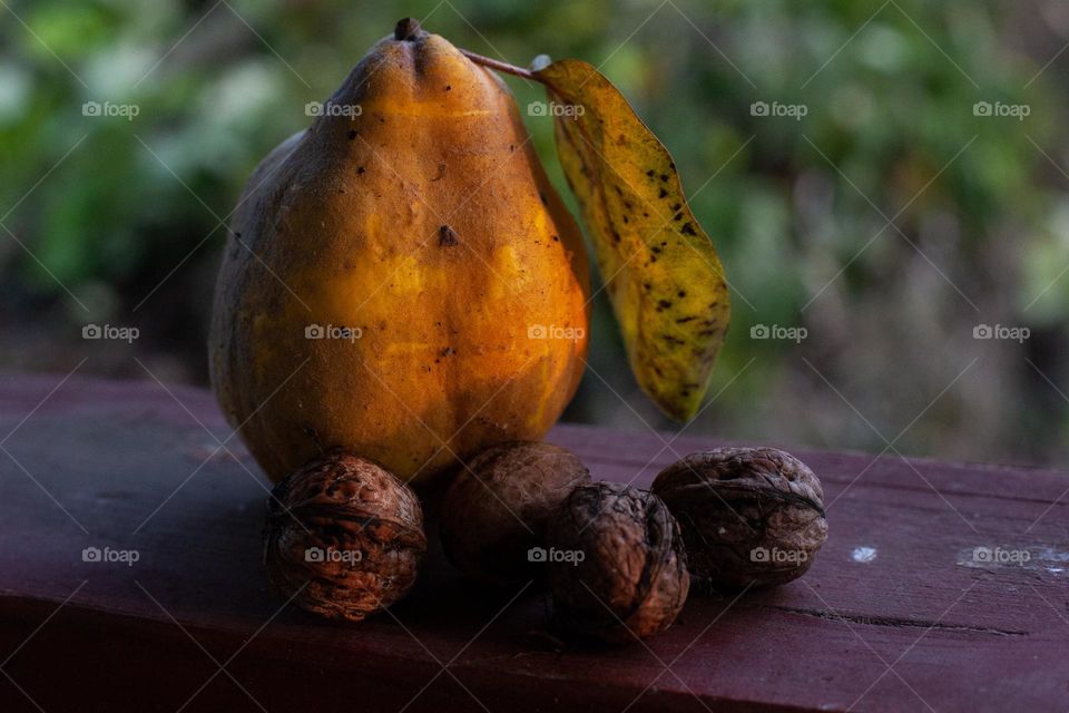 Autumn’s fruits - nuts and quince 