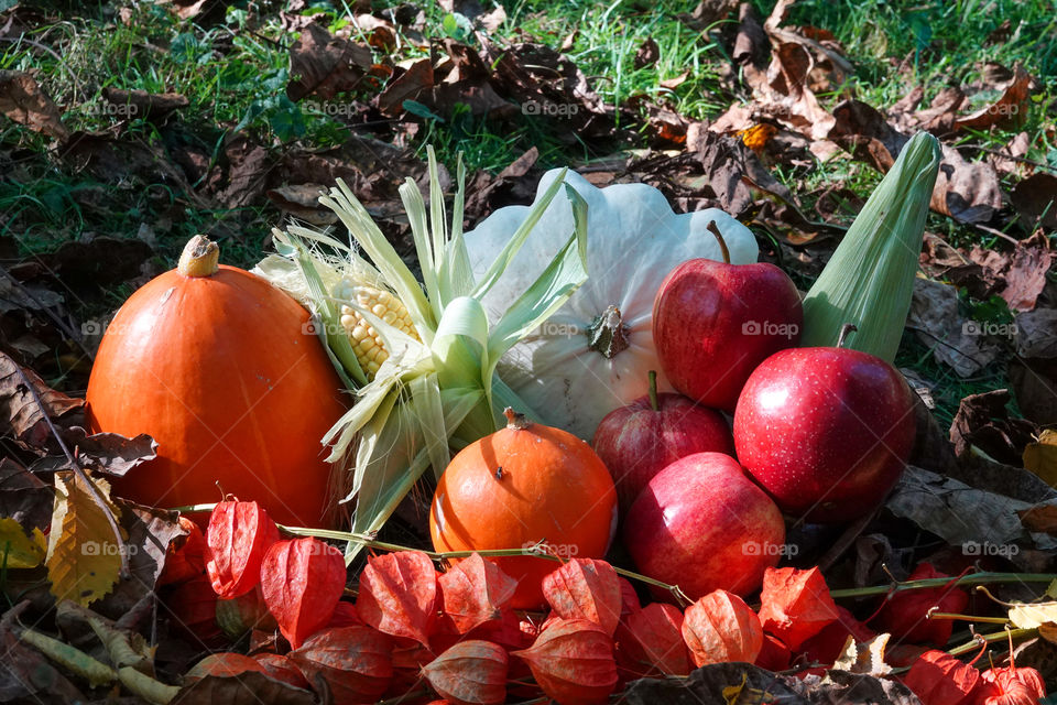 Fruits and vegetables typically harvested in the fall.