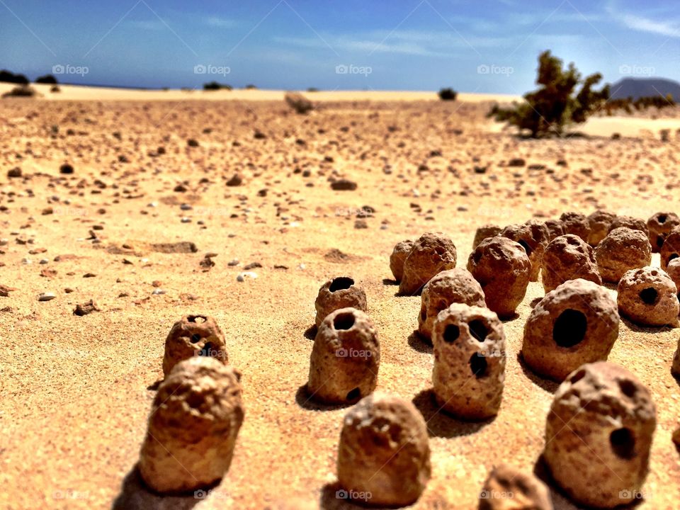 Desert stones 