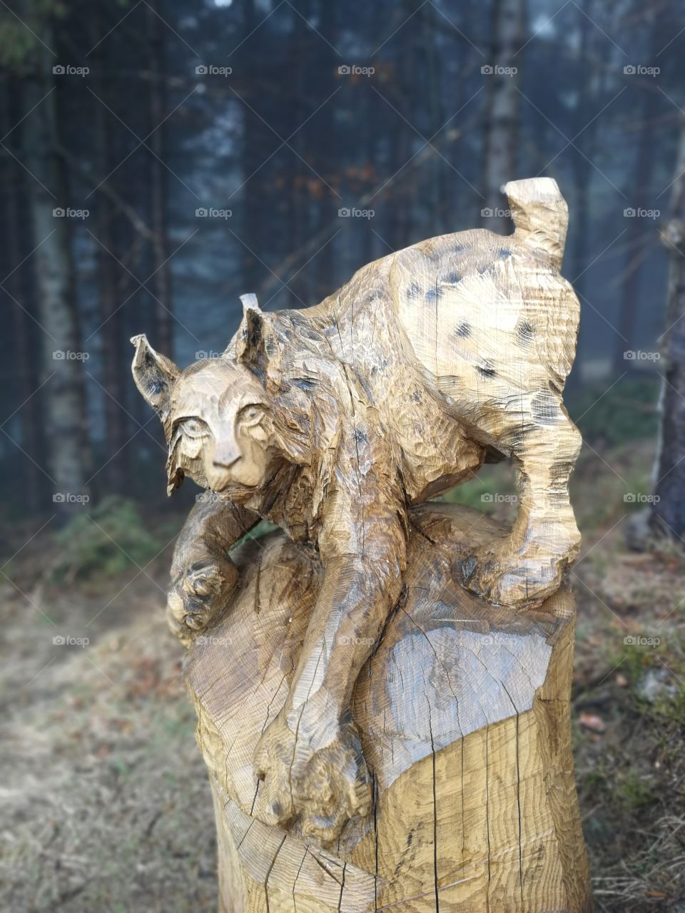 Wooden statue of the beast
