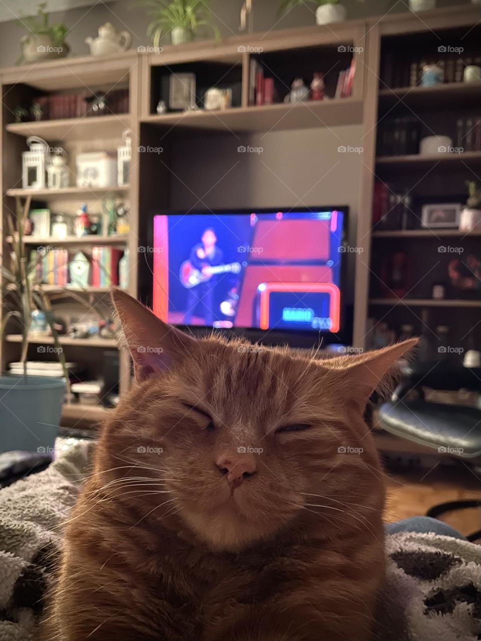 Watching Tv with my cat…