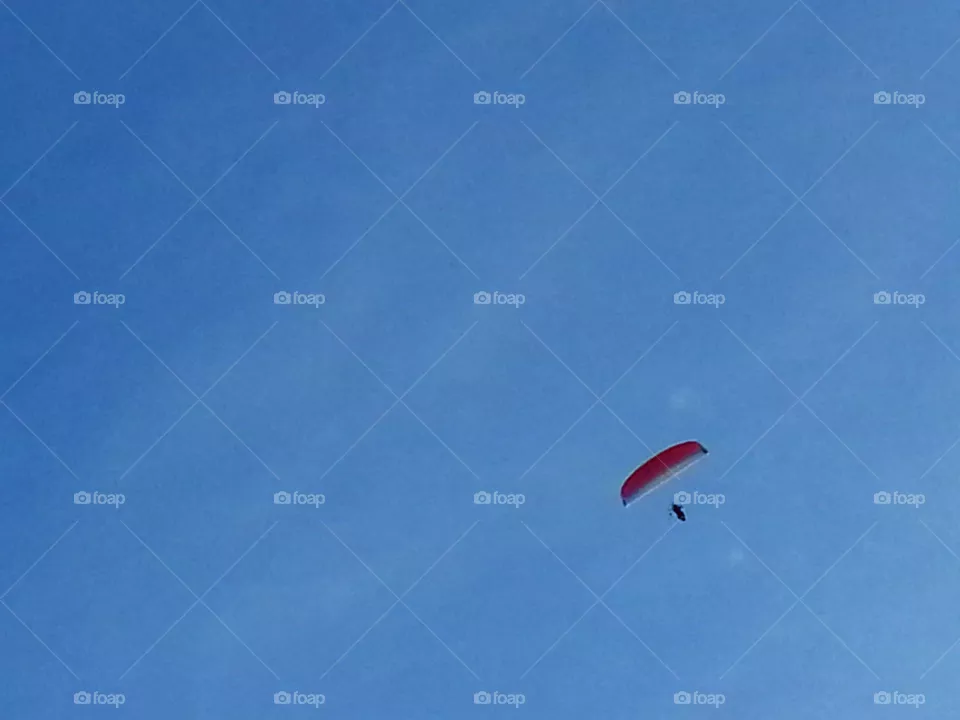 flight