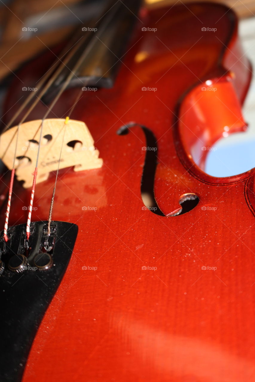 Bowed Stringed Instrument, Instrument, Violin, Classic, Sound
