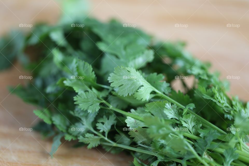 coriander