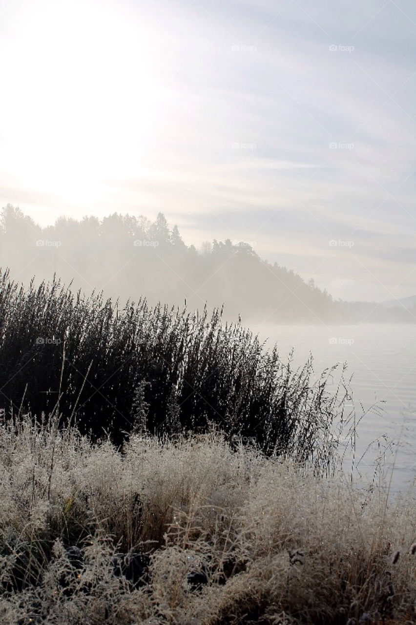winter morning frost vinter by merethe