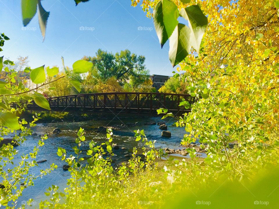 Softly the leaves of memory fall - Gently we gather and treasure them all. A thought a prayer are all we can give - These you will have as we live.