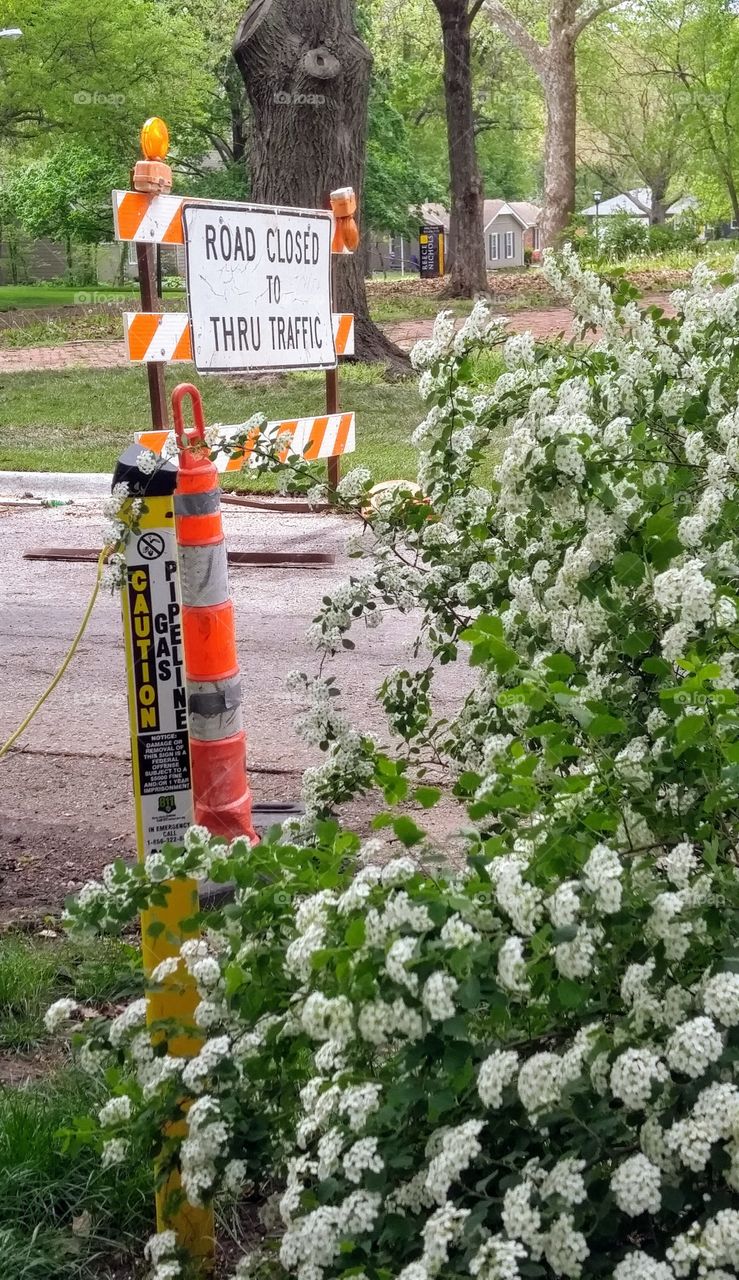 blooming utility work/road closed