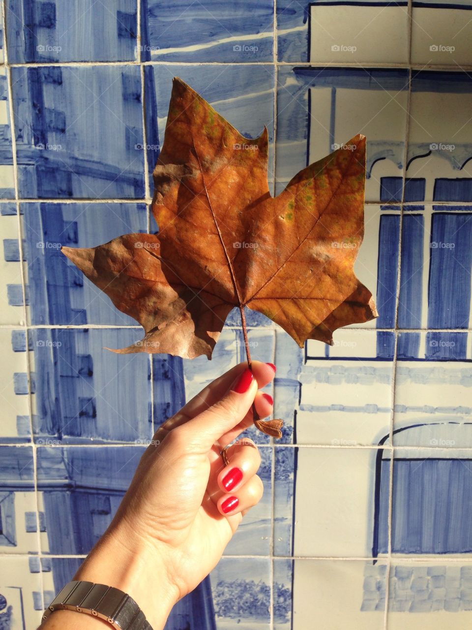 Woman holding maple leaf against tiled wall