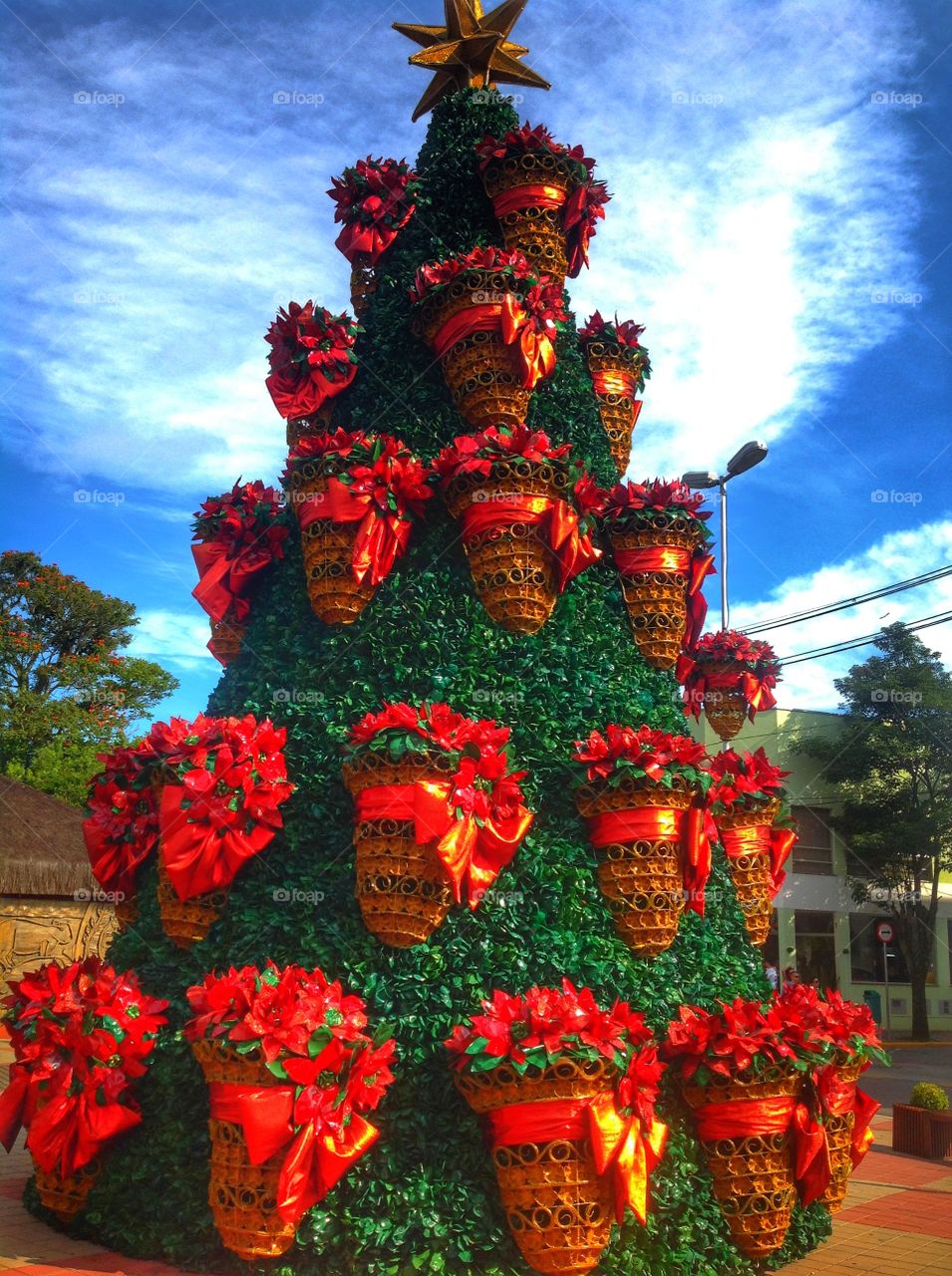 Árvore de Natal de pet - Christmas tree Guararema São Paulo Brazil