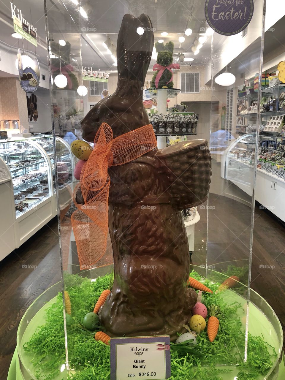 A large chocolate Easter Bunny for sale. 