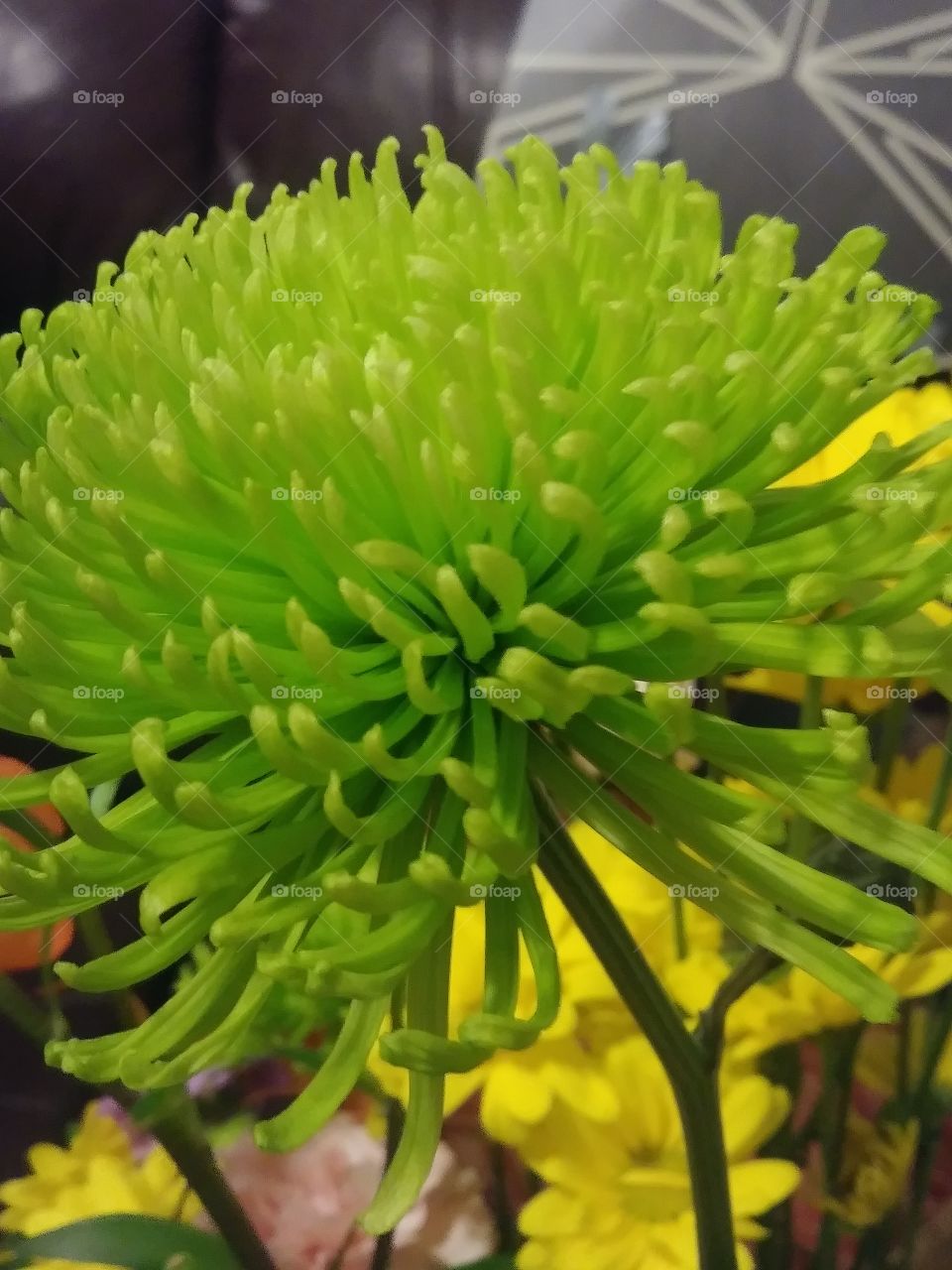 Green flower.