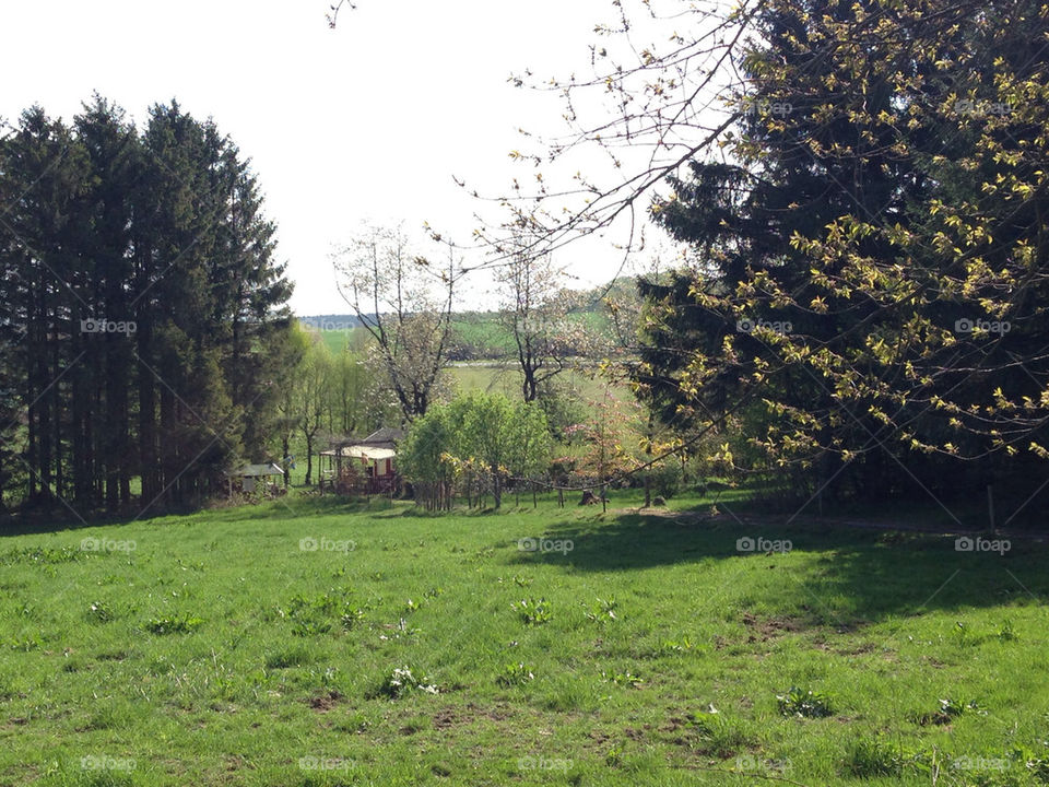 NATURE, TREES, LITTLE HOUSE