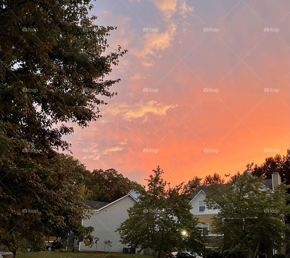 Sunset in the  Suburbs