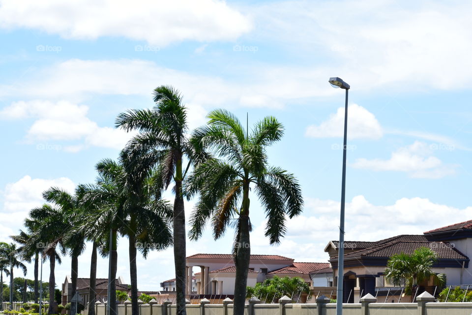 A Waterfront Community And A Grand Scenery