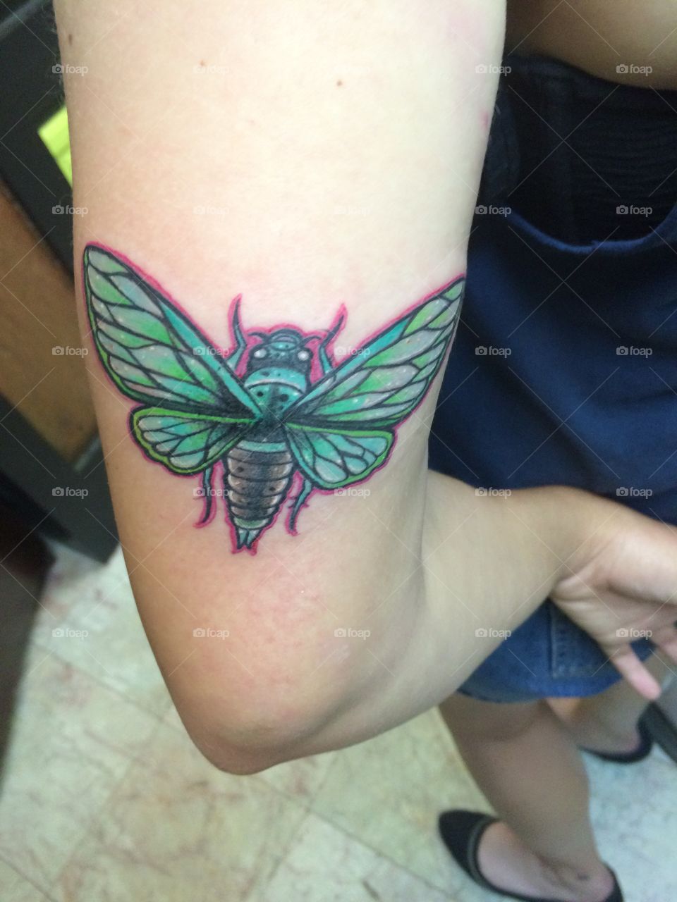 Cicada tattoo