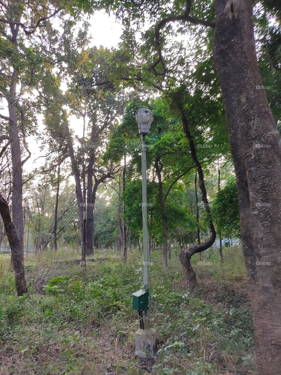 old Electric⚡🔌 pole.