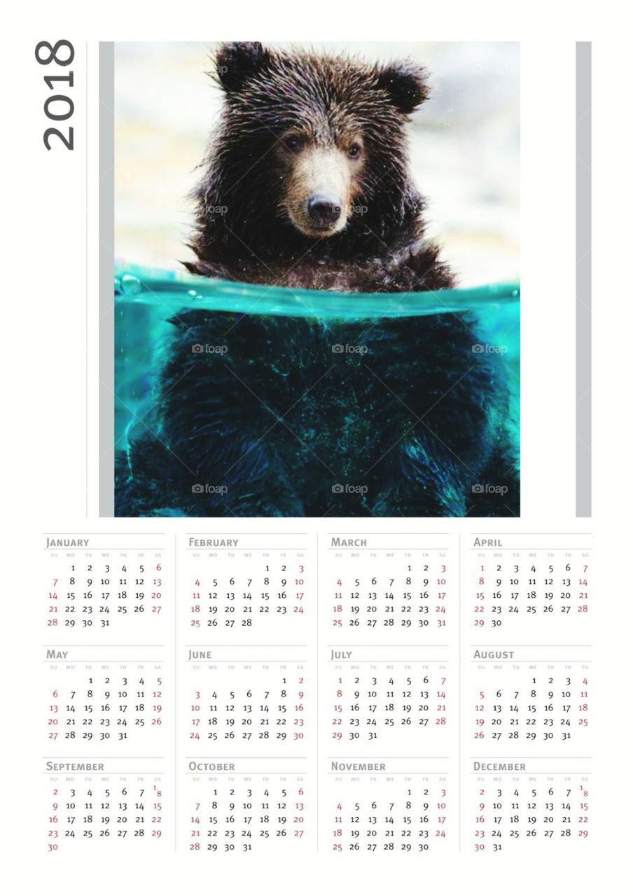 Calendar, Date, Illustration, Desktop, Animal
