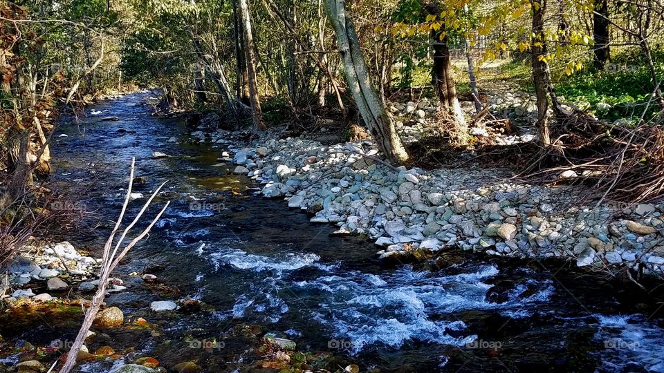 Small Creek at a Mountain Lodge in Virginia.