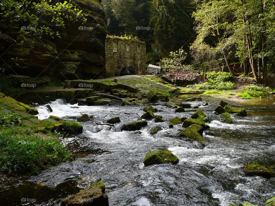 nature river old mill by jgajdos