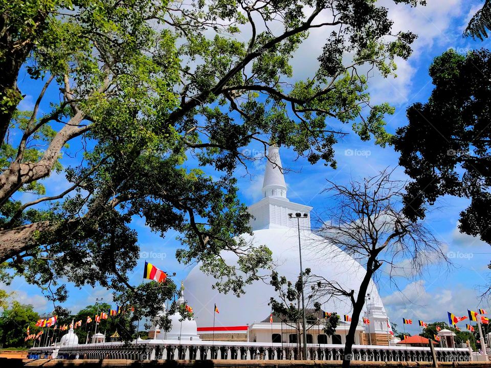 travel with anuradhapura