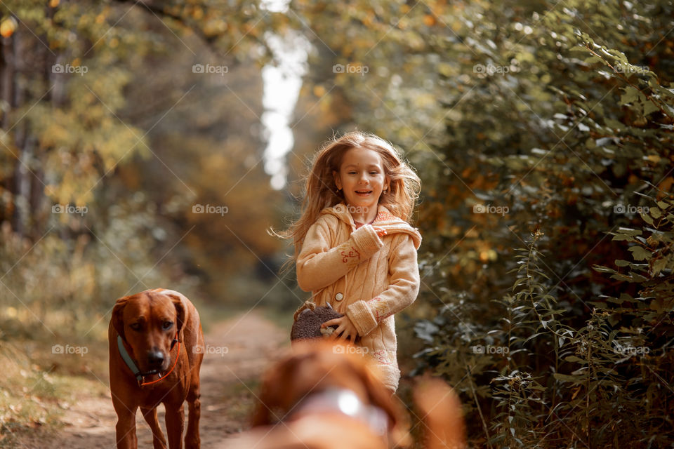 Little girl playing with dogs in an autumn park