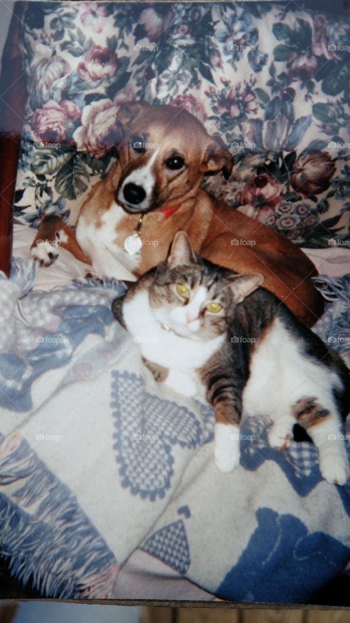 these two were truly best friends who grew up together and loved being together