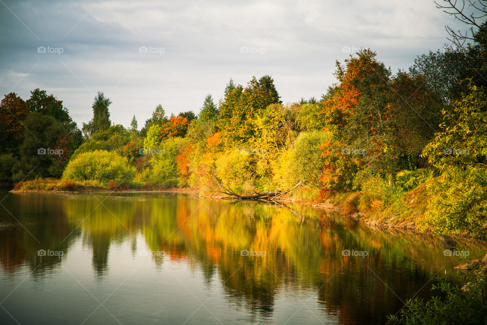 Fall, Nature, Tree, No Person, Lake