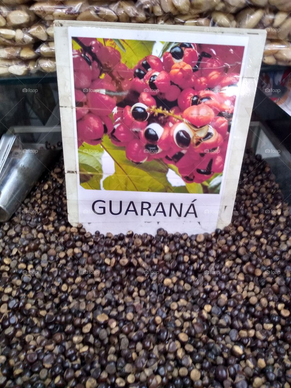 Cardiotonico-neuromuscular. O guaraná ou Paullinia Cupana, como é conhecido cientificamente, é o fruto do guaranazeiro, uma planta nativa da Amazônia. Por ser rico em cafeína, ou seja, estimulante do sistema nervoso central, o guaraná muitas vezes é