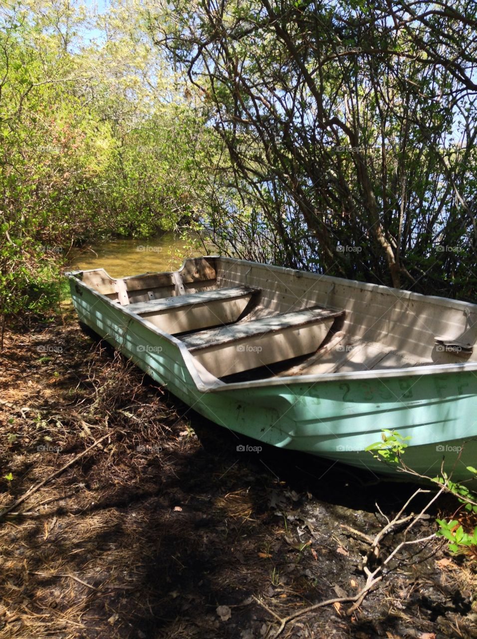 Abandoned boat at the pond. Dented and well loved boat left hidden at the edge of a pond