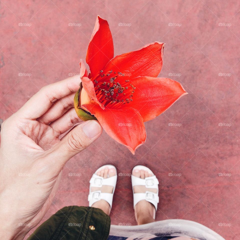 Beautiful red flower in hand.