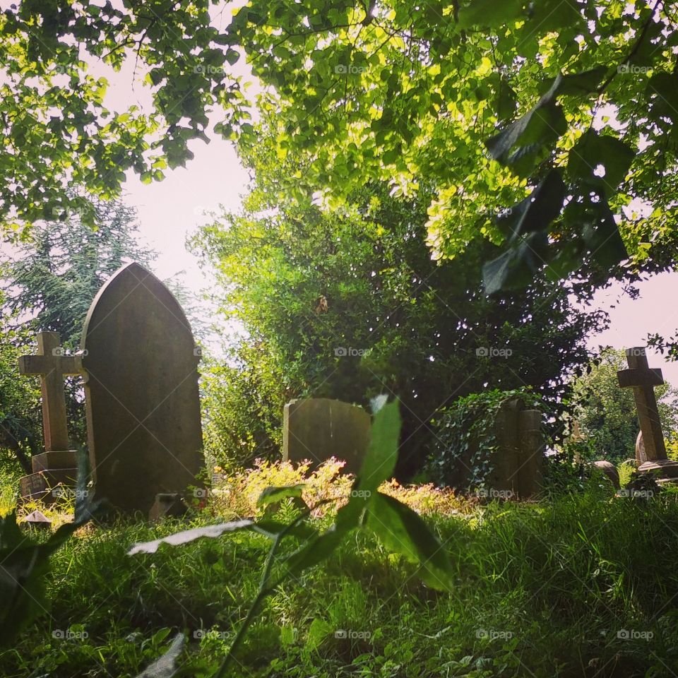graveyard in bright summer sunshine