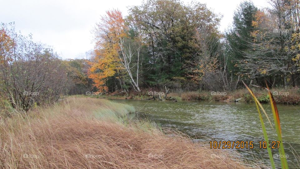 Northern Michigan 