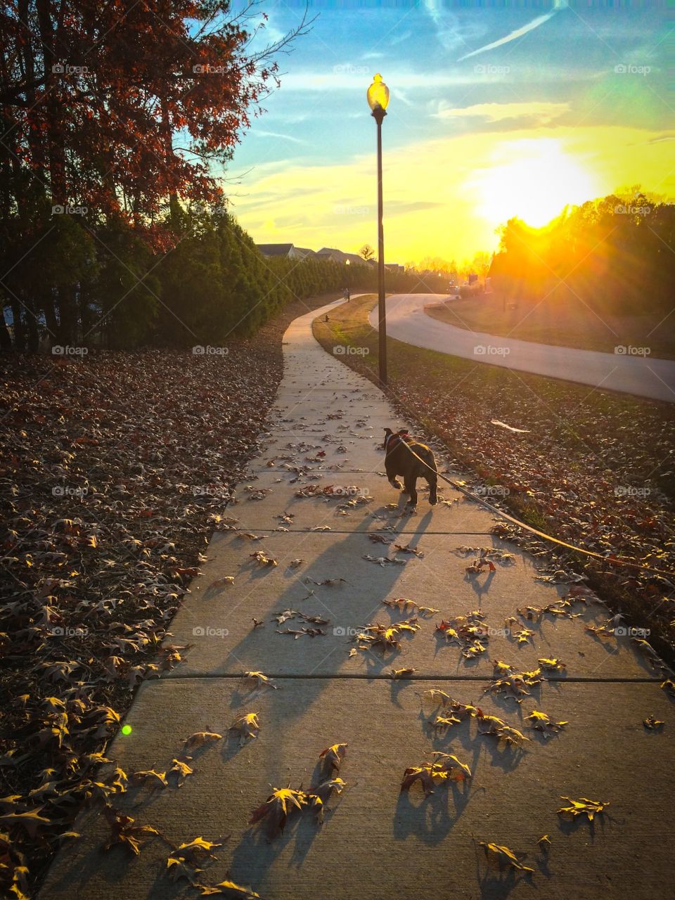 Taking a walk with the sunset