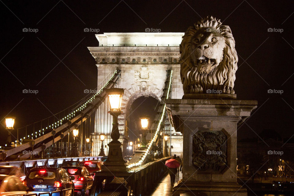 Chain bridge