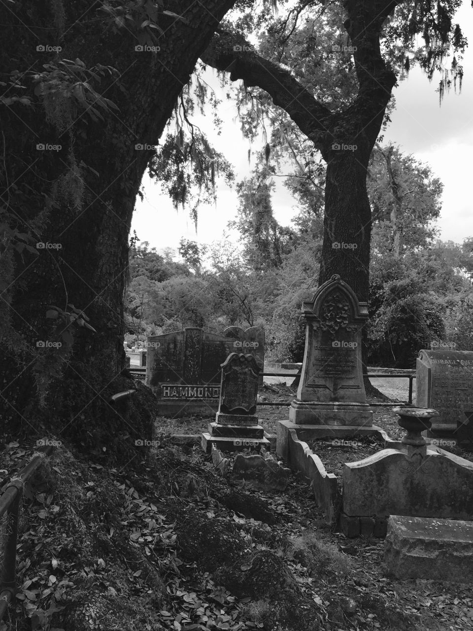 Hauntingly beautiful grave in Savannah Georgia 