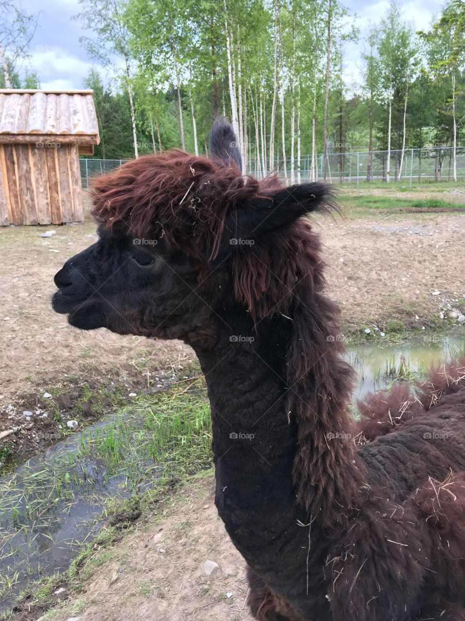 Does anyone know who this is?