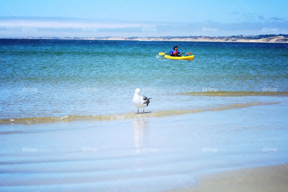 Bay shore with a ocean kayaker in background 