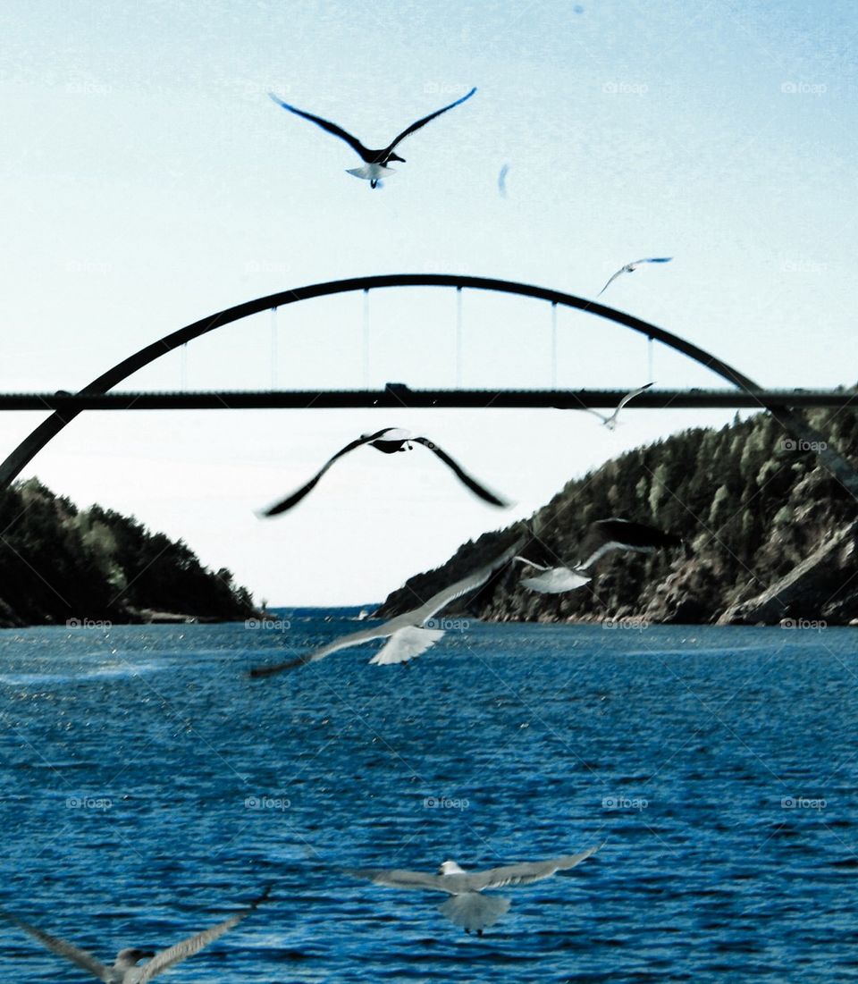 The new bridge of Svinesund