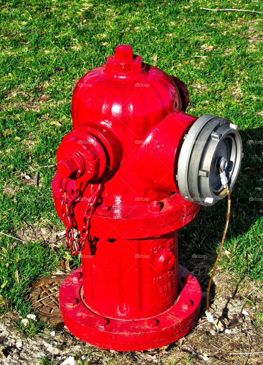 Red hydrant 