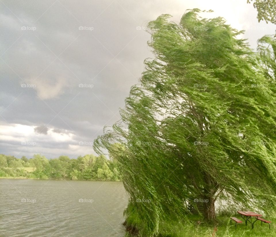 Storm Clouds, storm, clouds, weather, light, dark, darkness, wind, rain, unusual, beauty, nature, vapor, droplets, sky, ground, water, lake, tree, trees, willow, picnic table, table, grass