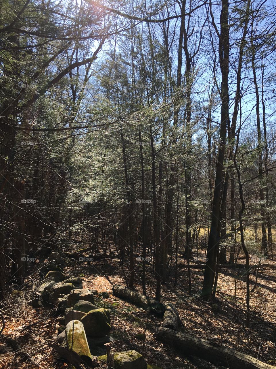 Hiking in local parks