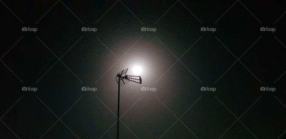 full moon night