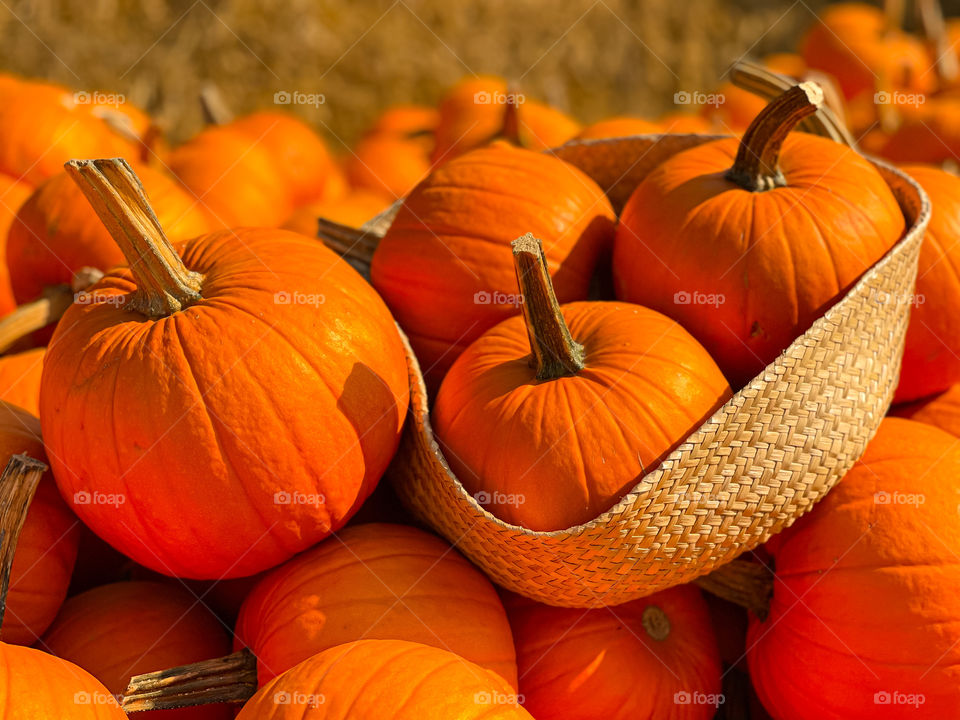 Pumpkins