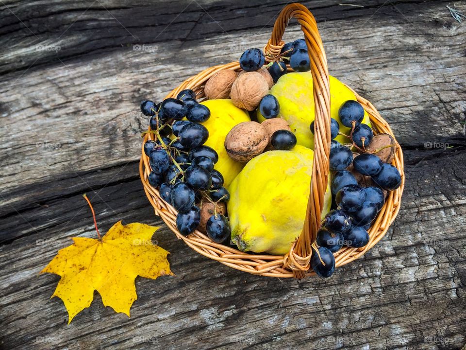 Basket with quinces,grapes and nuts on rustic wooden table with yellow leaves beside