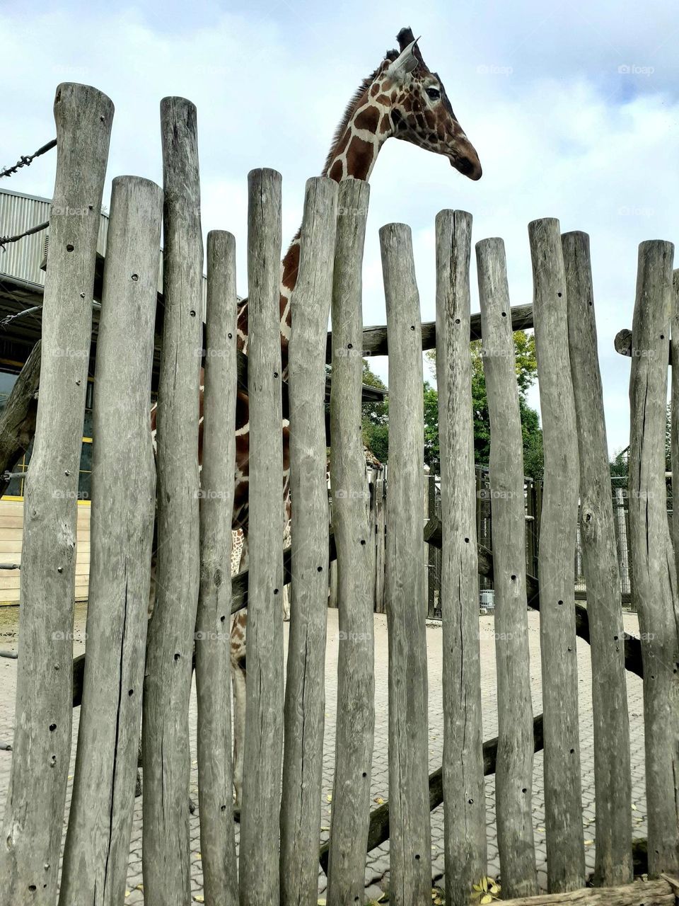 I am the highest - but I'm not arrogant