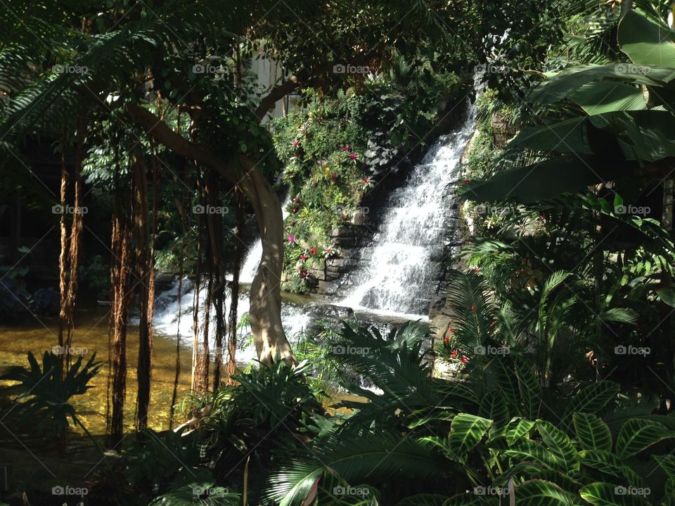 Nashville Opryland Hotel Garden