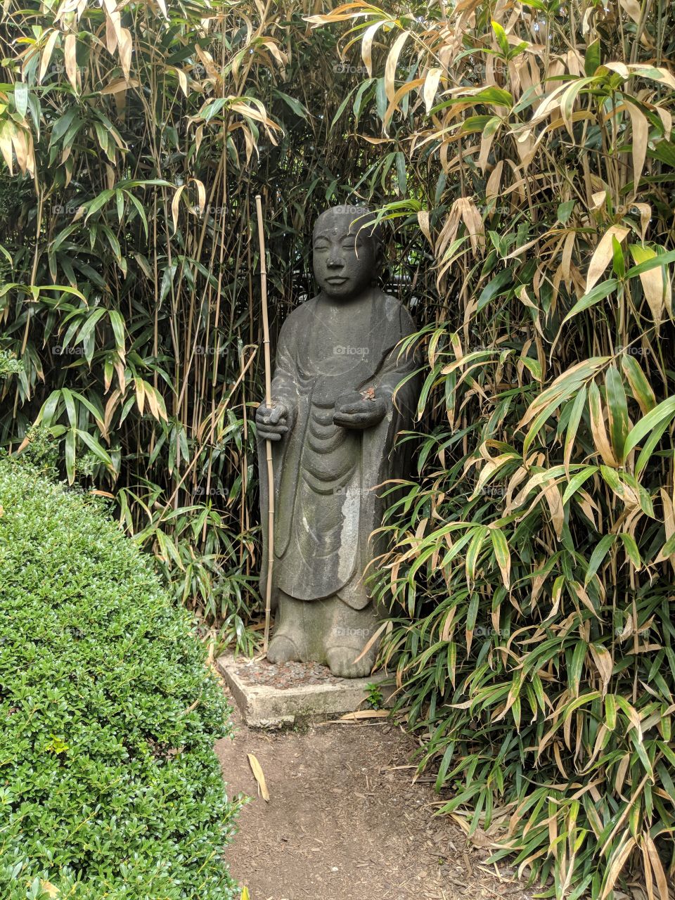 Stone Buddha amongst green bamboo.