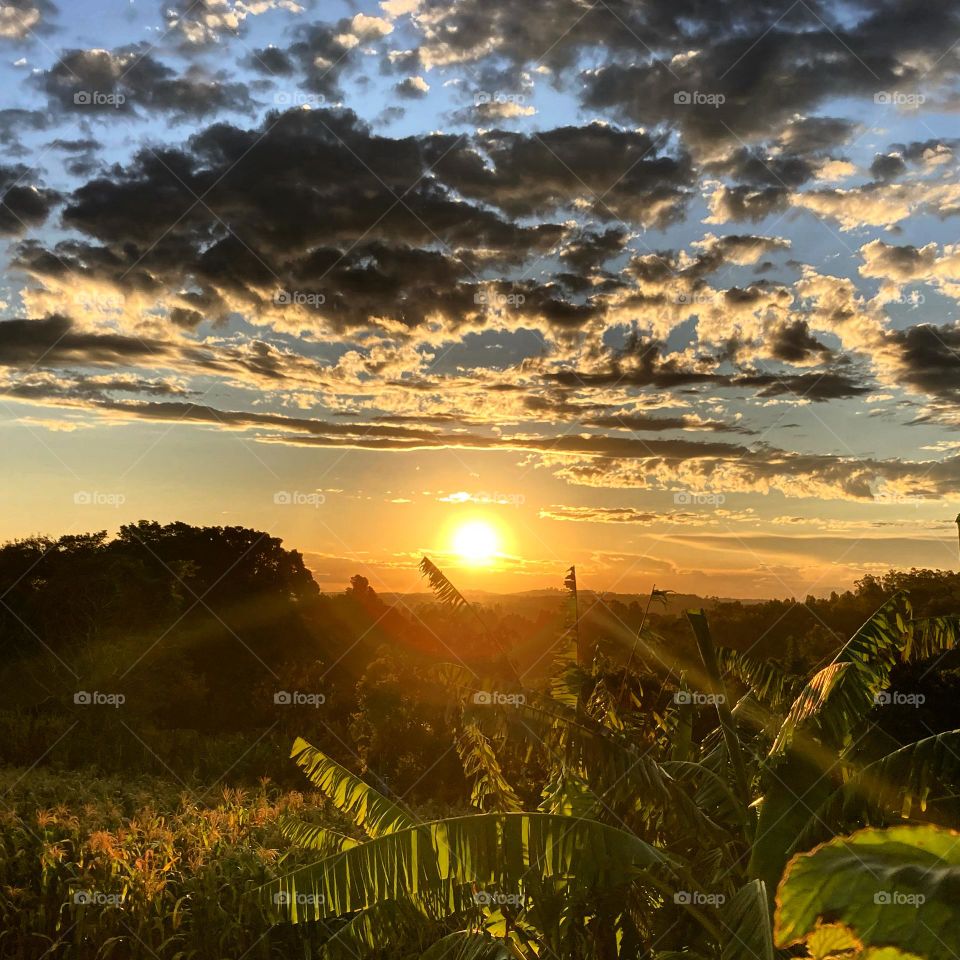 🌄🇺🇸 An extremely beautiful dawn in Jundiaí, interior of Brazil. Cheer the nature! / 🇧🇷 Um amanhecer extremamente bonito em Jundiaí, interior do Brasil. Viva a natureza! 
