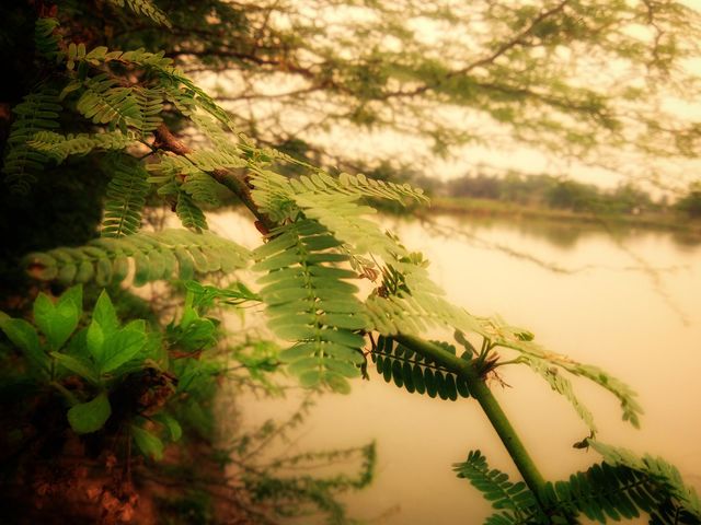 Beauty of Nature